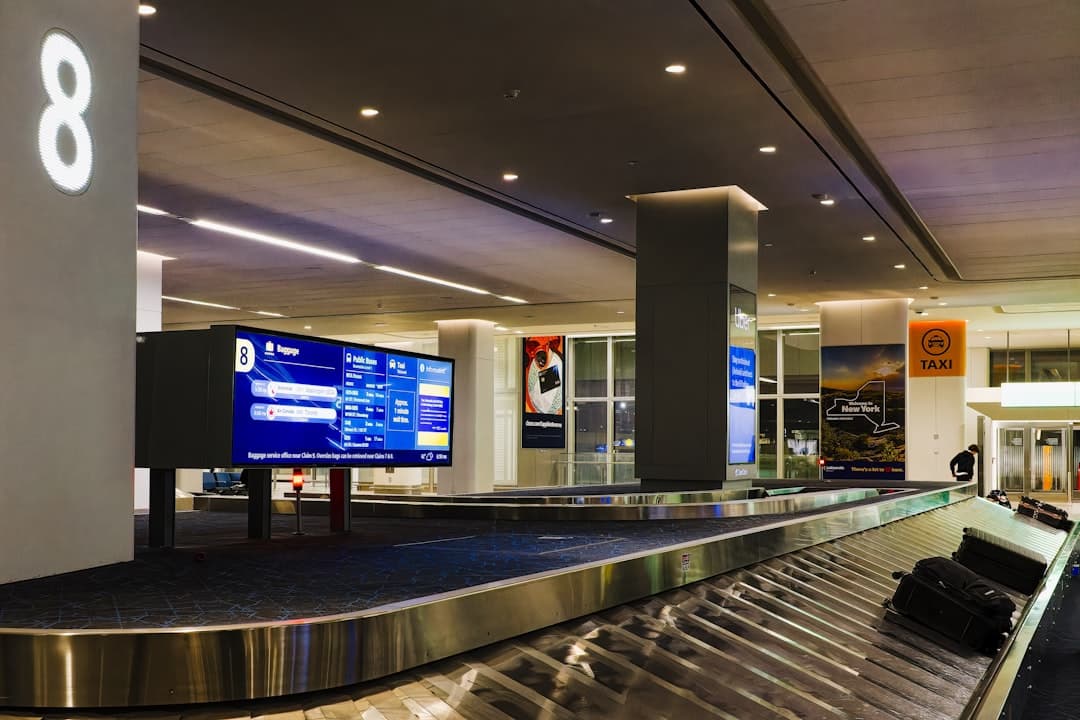 Airport baggage carousel and handling zone